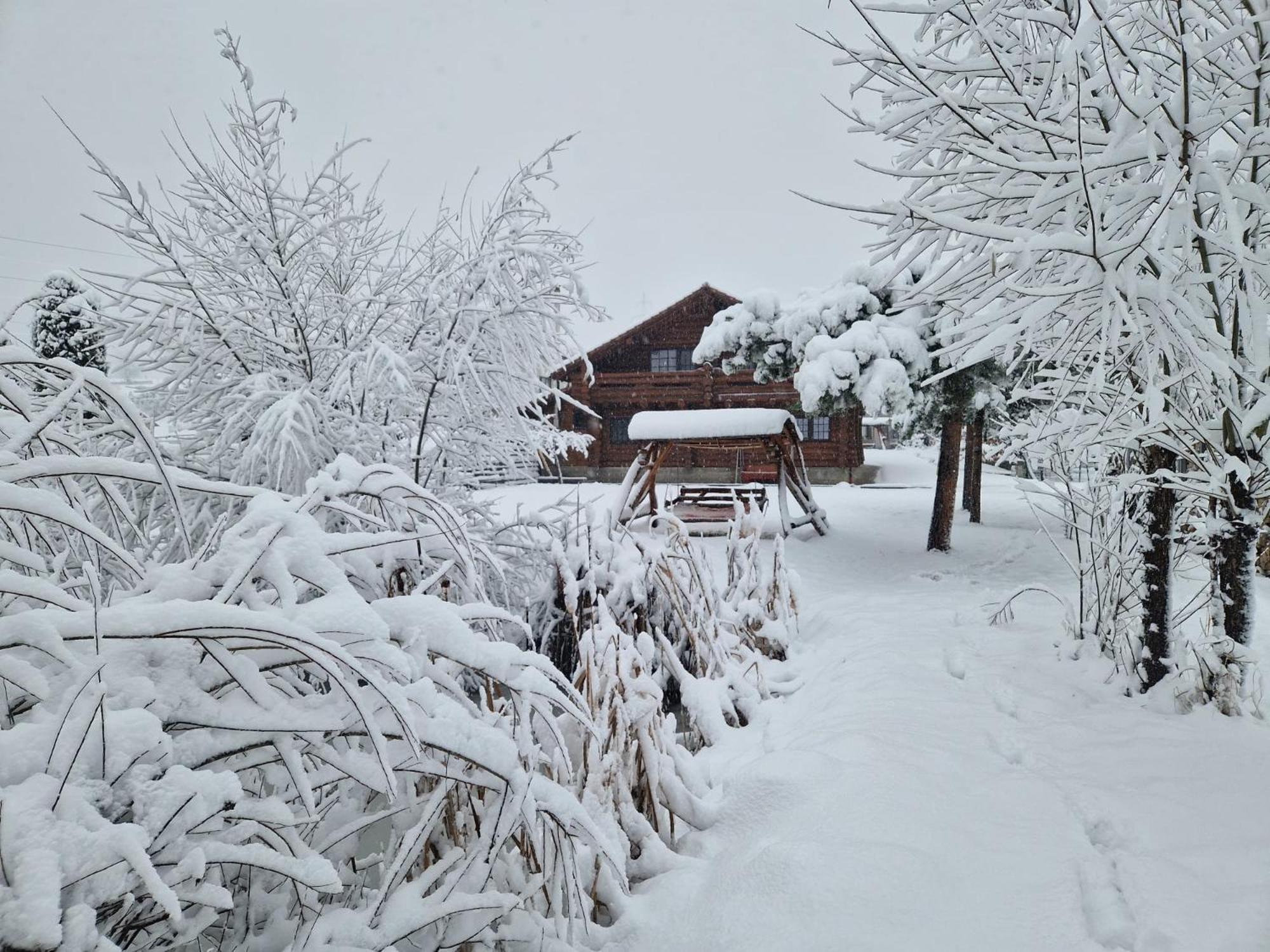 Vila Casa De Munte Vatra Dornei Exteriér fotografie